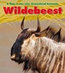 Wildebeest - SPILSBURY,  Louise - 9781406219012