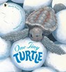 One Tiny Turtle - Nicola Davies - 9781406364637