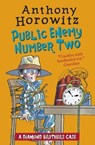 The Diamond Brothers in Public Enemy Number Two - Anthony Horowitz - 9781406365849