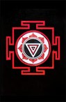The Mountain Shadow - ROBERTS,  Gregory David - 9781408701614