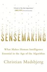 Sensemaking - MADSBJERG,  Christian - 9781408708361