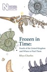 Frozen in Time - Rhys Charles - 9781409197973
