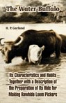 The Water Buffalo - H P Garland - 9781410220585