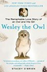 Wesley the Owl - Stacey O'Brien - 9781416551775