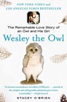 Wesley the Owl - Stacey O'Brien - 9781416579816