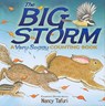 The Big Storm: A Very Soggy Counting Book - Nancy Tafuri - 9781416967958