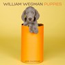 William wegman puppies: 2016 wall calendar - william wegman - 9781419716102