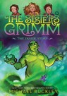 The Inside Story (The Sisters Grimm #8) - Michael Buckley ; Peter Ferguson - 9781419720062