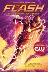 The Flash: The Tornado Twins - Barry Lyga - 9781419731242
