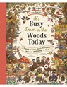 It's Busy Down in the Woods Today: Friends to Meet, Places to Explore, and Over 100 Things to Find - Rachel Piercey - 9781419777004