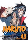 Naruto, Vol. 43 - Masashi Kishimoto - 9781421529295