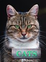 Cats - Marcus Schneck - 9781422243145