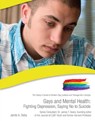 Gays and Mental Health - Jaime A. Seba - 9781422296738