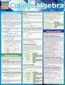 College Algebra - Ken Yablonsky - 9781423220312