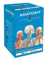 Anatomy 2 Flash Cards -  - 9781423232469