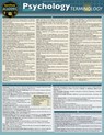 Psychology Terminology: A Quickstudy Laminated Reference Guide - Regina Snyder - 9781423241874