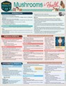 Mushrooms for Health - Jonathan Fredette - 9781423250920
