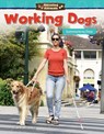 Amazing Animals - MACDONALD,  Lisa - 9781425858957
