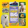 Little Kids First Big Book of Baby Animals - National Geographic Kids - 9781426371462