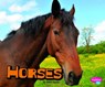 Horses - Sheri Doyle - 9781429686488