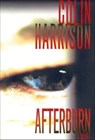 Afterburn - Colin Harrison - 9781429922838