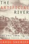 The Artificial River - Carol Sheriff - 9781429952484