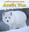 Arctic Fox - Katie Marsico - 9781432953362