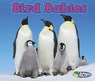 Bird Babies - Catherine Veitch - 9781432984175