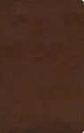 Gentle and Lowly - Dane Ortlund - 9781433580147