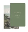 Gentle and Lowly - Dane Ortlund - 9781433580291