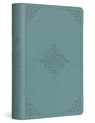 ESV Student Study Bible - T. Desmond Alexander - 9781433598265