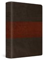 ESV Men's Study Bible - Ray Ortlund - 9781433598340