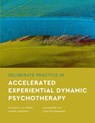 Deliberate Practice in Accelerated Experiential Dynamic Psychotherapy - Natasha C. N. Prenn ; Hanna Levenson ; Alexandre Vaz ; Tony Rousmaniere - 9781433842900