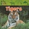 Tigers - Christina Wilsdon - 9781433920202