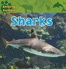 Sharks - Christina Wilsdon - 9781433920288