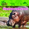 Hippopotamuses - Christina Wilsdon - 9781433921230