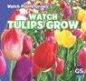 Watch Tulips Grow - Kristen Rajczak Nelson - 9781433948459