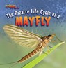 The Bizarre Life Cycle of a Mayfly - Greg Roza - 9781433970528