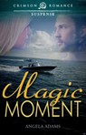Magic Moment - Angela Adams - 9781440554957
