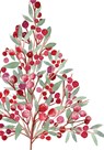 Festive Bough Small Boxed Holiday Cards (20 Cards, 21 Self-Sealing Envelopes) -  - 9781441345875