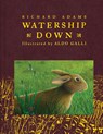 WATERSHIP DOWN R/E - Richard Adams - 9781442444058