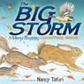 The Big Storm - Nancy Tafuri - 9781442481855