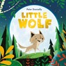 Little Wolf - Peter Donnelly - 9781444967722