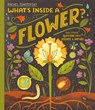 What's Inside a Flower? - Rachel Ignotofsky - 9781444976694