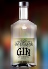 Gin: An Illustrated History - Tina Brown - 9781445680057