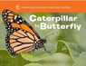 Caterpillar to Butterfly - American Museum of Natural History ; Melissa Stewart - 9781454914068
