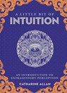 Little Bit of Intuition, A - Catharine Allan - 9781454936763