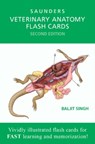 Veterinary Anatomy Flash Cards -  - 9781455776832
