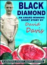 Black Diamond - David Davis - 9781458026750