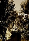Mute - Ruth Pettite - 9781458047984